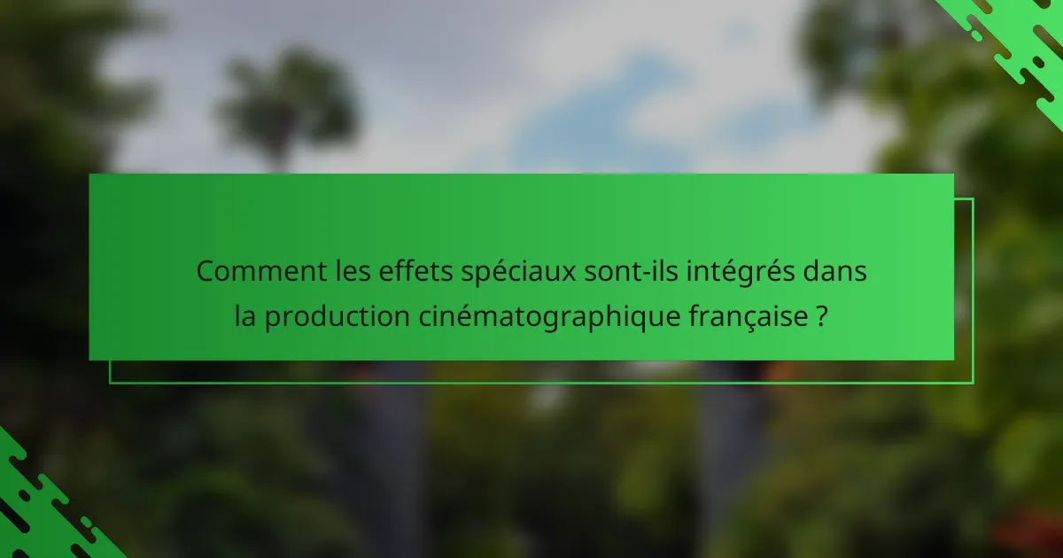 Comment les effets spéciaux sont-ils intégrés dans la production cinématographique française ?
