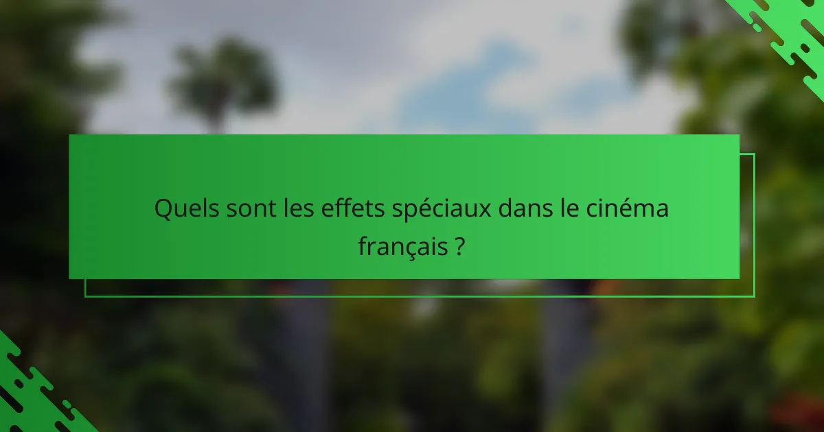 Quels sont les effets spéciaux dans le cinéma français ?