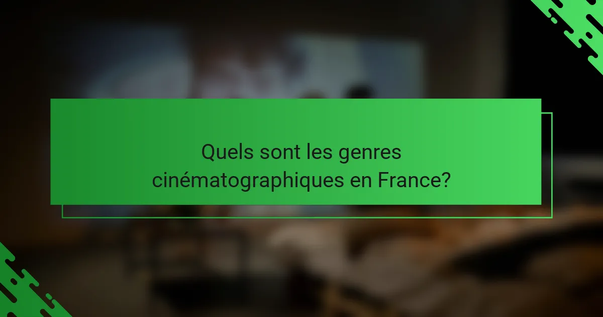 Quels sont les genres cinématographiques en France?