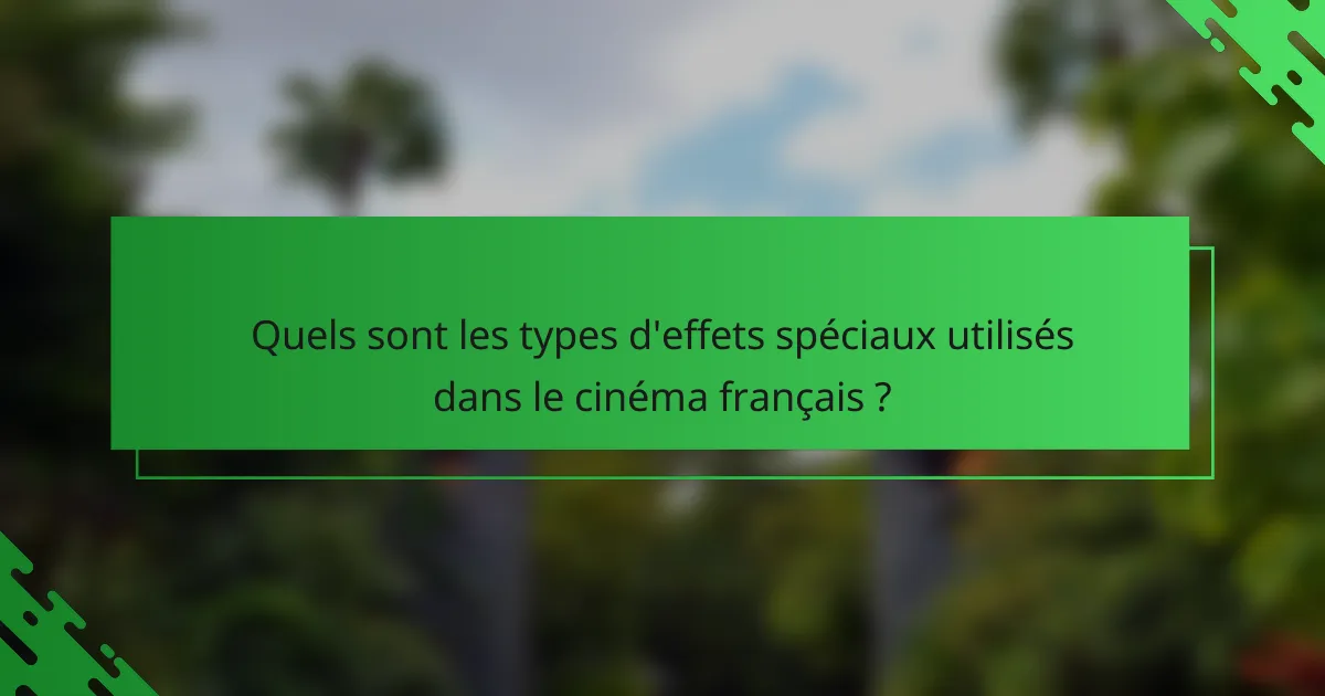 Quels sont les types d'effets spéciaux utilisés dans le cinéma français ?